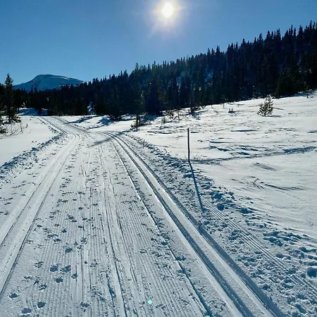 Near Skiing And Golf At Nesfjellet Nystolen